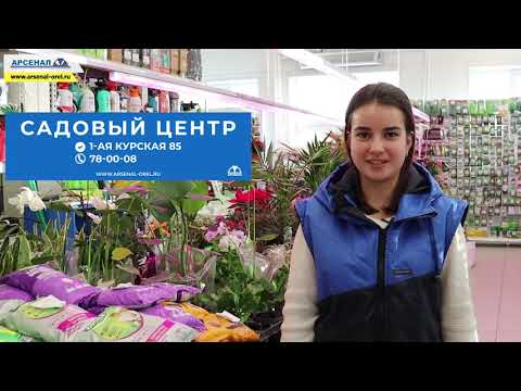 Цены В Магазине Арсенал Орел Цены В Магазине Арсенал Орел